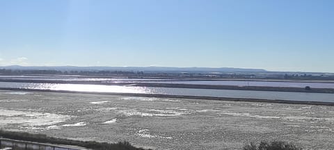 LA DARSENA rooms & parking Bed and Breakfast in Province of Foggia