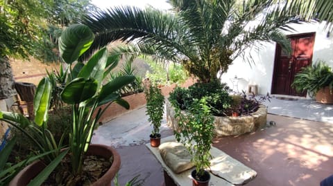 Garden, Inner courtyard view