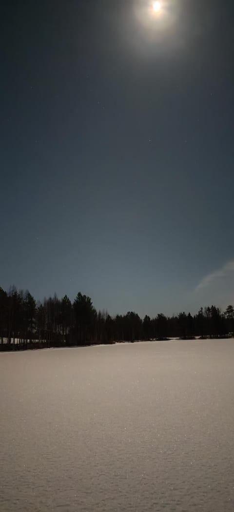 Villa Haaveranta - Private Villa by the lake Apartment in Rovaniemi