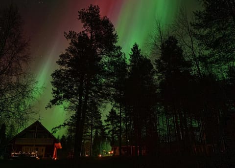 Night, Natural landscape