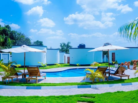 Property building, Patio, Day, Garden, Garden view, Pool view, Swimming pool, sunbed