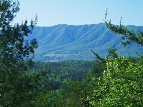 R&R Retreat House in Sevier County