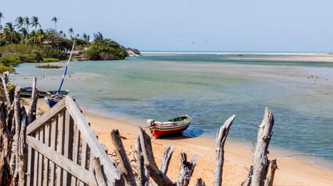Natural landscape, Beach, Sea view