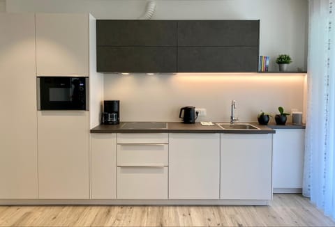 Kitchen or kitchenette, dishwasher, minibar, kitchen