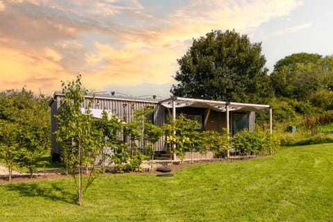 Property building, Garden, Balcony/Terrace