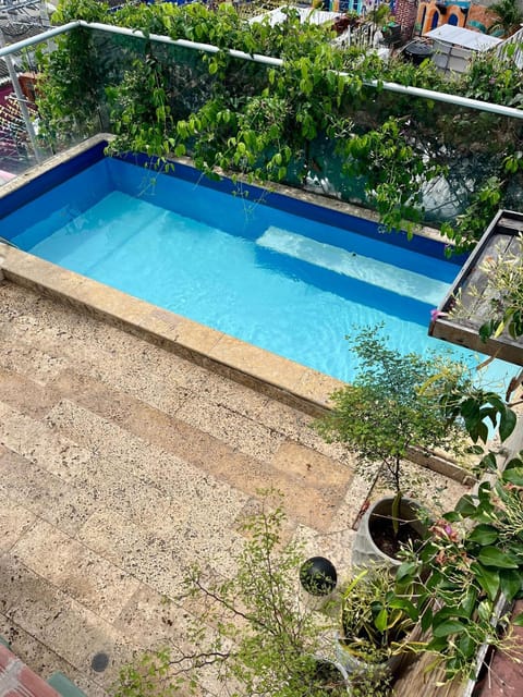 Garden view, Swimming pool