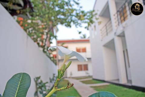 Property building, Garden, View (from property/room)