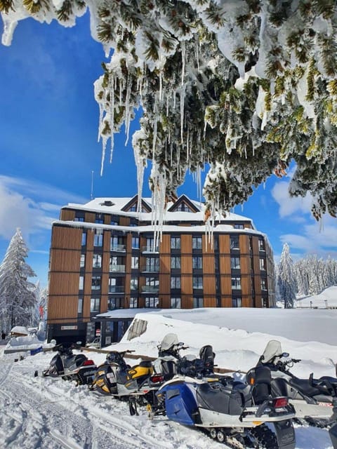 Winter, Skiing