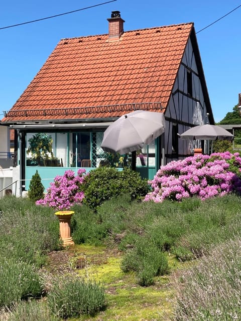 Property building, Garden view