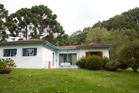 Natural landscape, Garden, Garden view