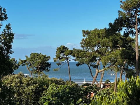 Beach, Sea view
