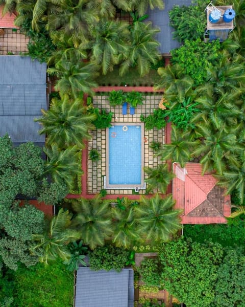 Property building, Natural landscape, Garden, Garden view, Pool view, Swimming pool