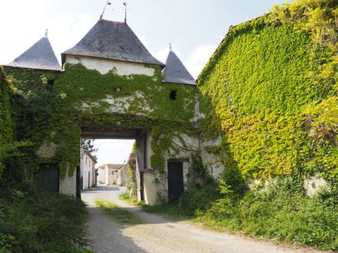 Garden, Garden view