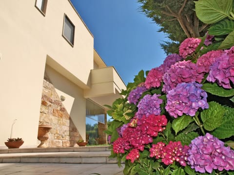 Facade/entrance, Garden, Decorative detail