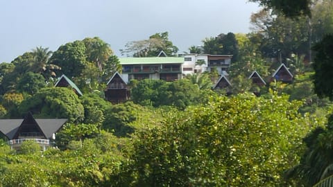 Off site, Bird's eye view