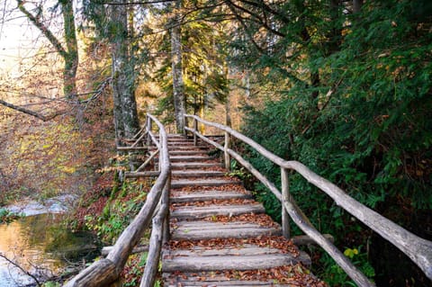 Apartment Goran House in Plitvice Lakes Park