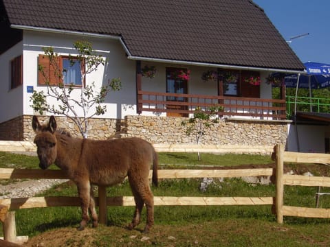Facade/entrance, Animals