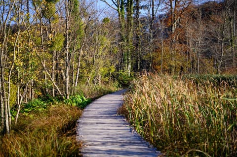 Apartment Goran House in Plitvice Lakes Park