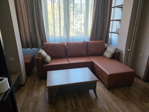 ELISA Apartment 20A Center-Skopje Apartment in Skopje