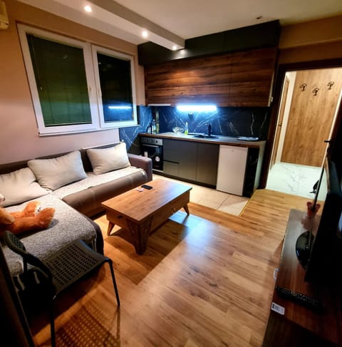 ELISA Apartment 20B Center-Skopje Apartment in Skopje