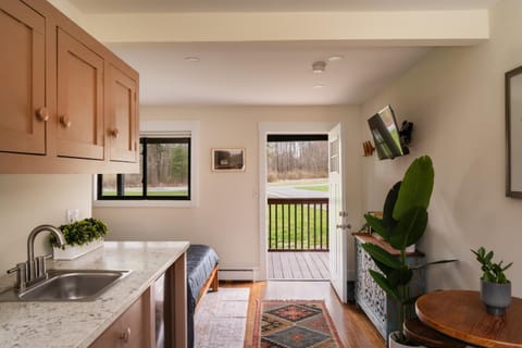 The Willow, Catskill Apartment hotel in Capital District, NY, USA