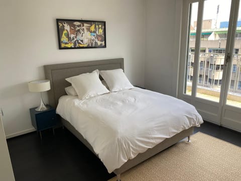 SPLENDIDE APPARTEMENT EN ATTIQUE -GENEVE - CHAMPEL Apartment in Geneva