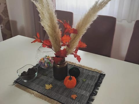 Apartman Jana Apartment in Vojvodina