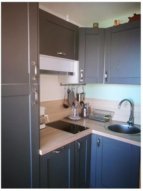 Appartement Le Corbier La Voie Lactée Apartment in Villarembert