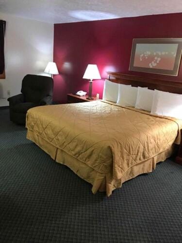 Cadillac Inn Inn in Cadillac