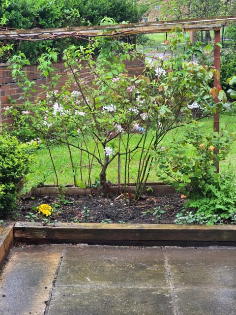 2 Bedroom Cozy Chambers with free parking Apartment in Leeds