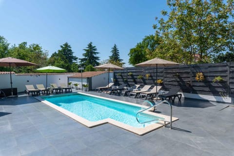 Summer, Garden, Swimming pool