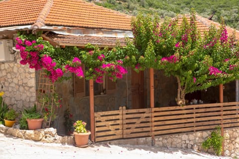Day, Garden, Garden view
