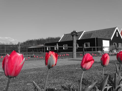 de Tulp Bed and Breakfast in Zeeland, Netherlands