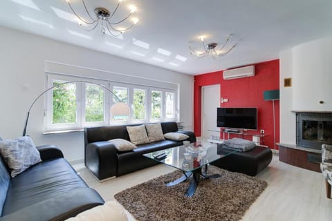 Villa Dalmare Villa in Novi Vinodolski