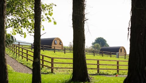 Kilbane Glamping Nature lodge in County Clare