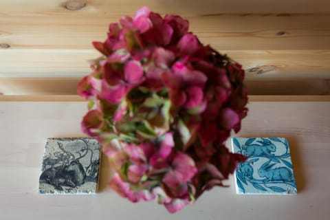 Kilbane Glamping Nature lodge in County Clare