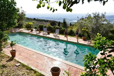 Natural landscape, Garden, Pool view, Swimming pool
