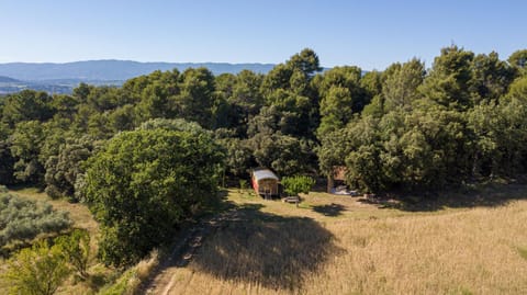 Bird's eye view, Garden view