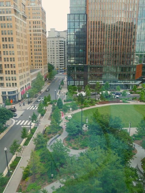 Spring, Neighbourhood, Natural landscape, Bird's eye view, City view, Street view