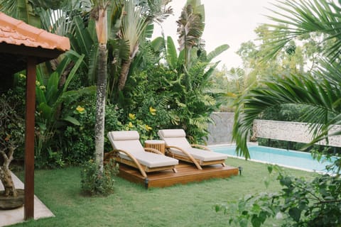 Garden, Garden view, Swimming pool, sunbed