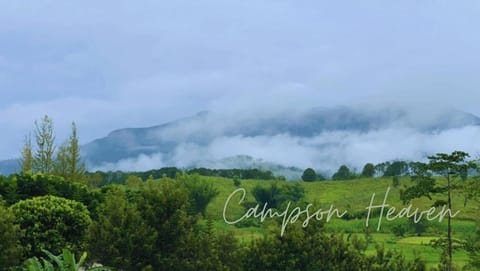 Natural landscape