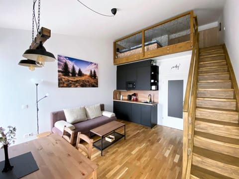 Kitchen or kitchenette, Living room, Seating area, Area and facilities