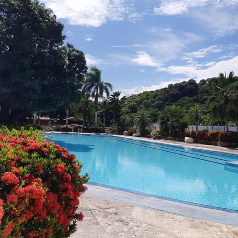 Pool view, Swimming pool