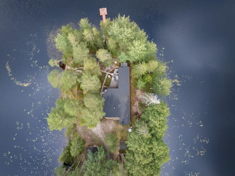 Hirsihuvila yksityisessä niemessä Petäjävedellä Villa in Finland