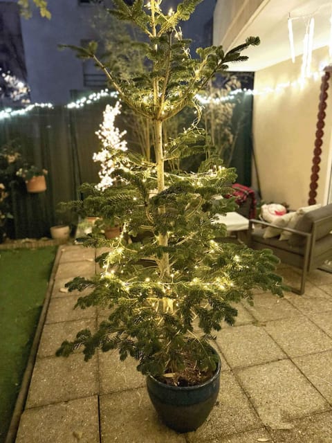 Le jardin du stade by UTA HOUSE Apartment in Saint-Denis, France