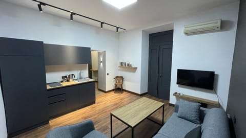 TV and multimedia, Coffee/tea facilities, Kitchen or kitchenette, Living room, Seating area, Dining area, pet friendly, stove, air conditioner