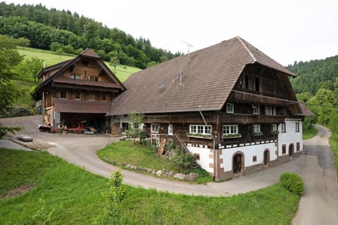 Eisenmannhof Apartment in Offenburg