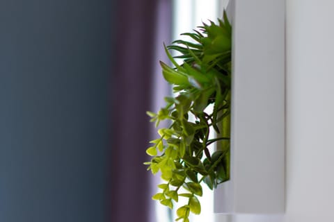 La Clé Studio Clim, Balcon, Proche Gare et Port Apartment in Toulon