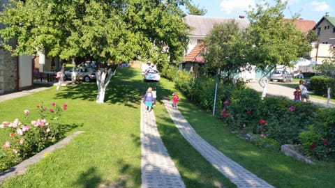 Natural landscape, Garden view, Mountain view