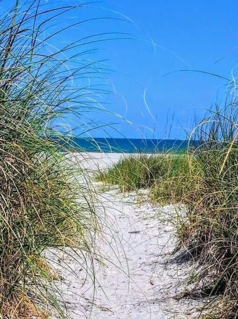 Luxury 2/2 private oasis w/Hot Tub walk to Beach Villa in Cape Canaveral